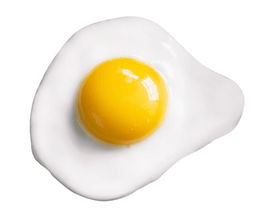 Oeuf